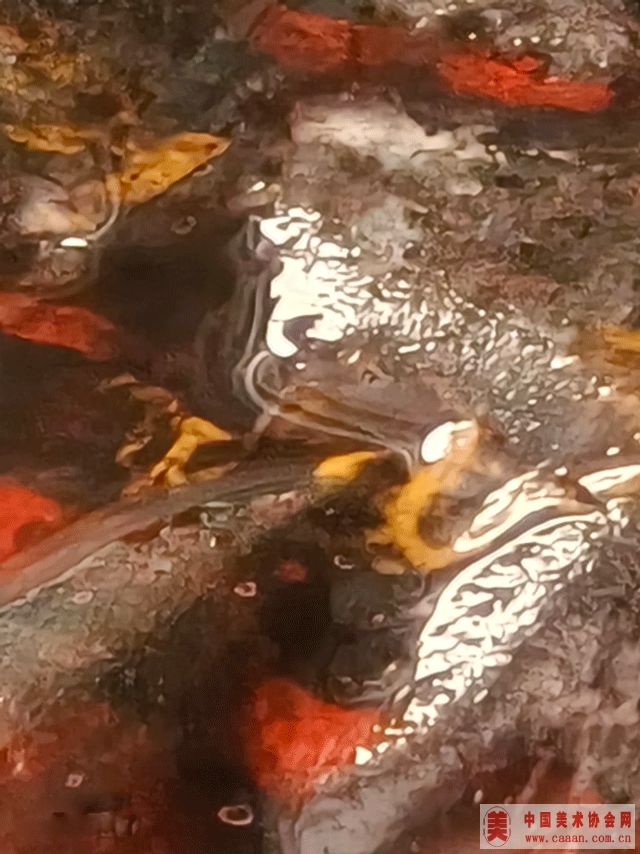 ��������Ʒ