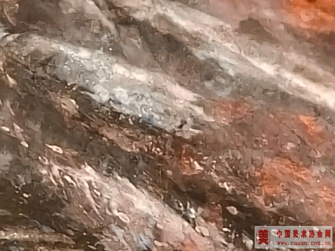 ��������Ʒ